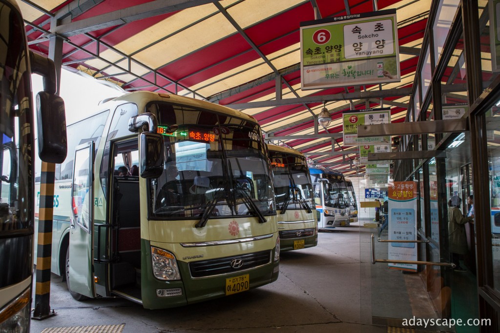 Dongseoul Bus Terminal 05