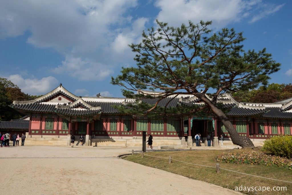 Changdeokgung Palace 04