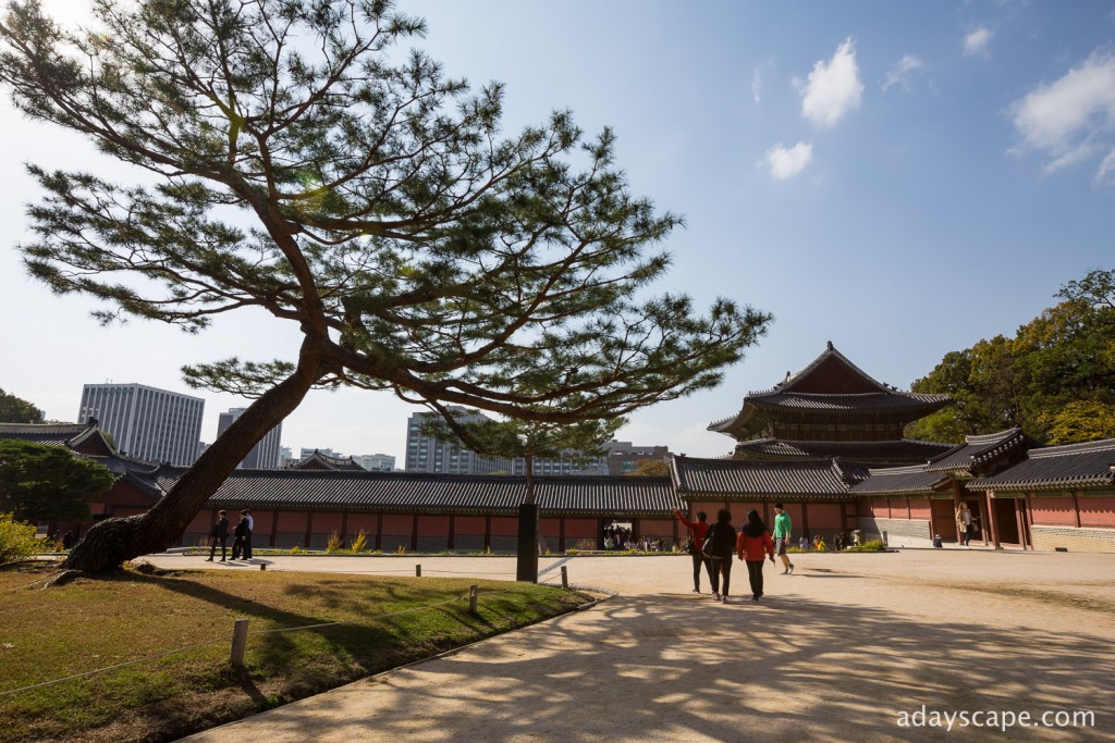 Changdeokgung Palace 05