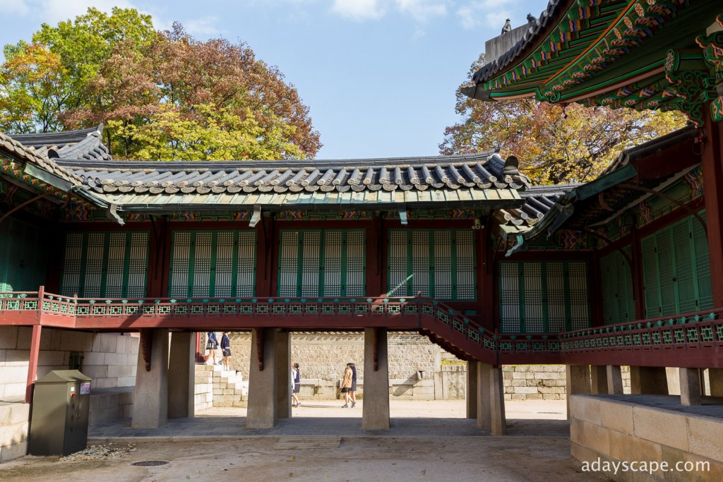 Changdeokgung Palace 10