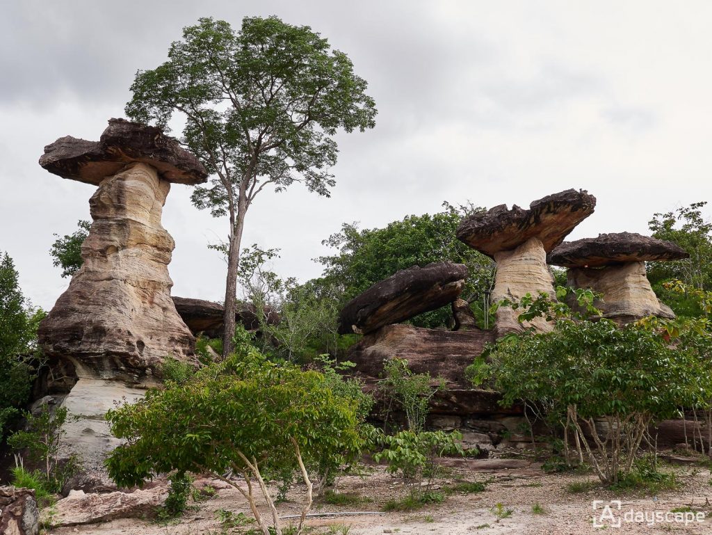 ที่เที่ยวอุบล - อุทยานแห่งชาติผาแต้ม 4