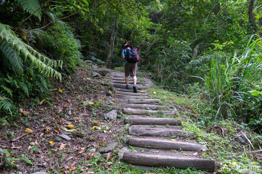 Zhuilu Old Trail 2