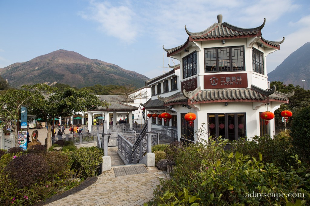 Ngong Ping 360 03