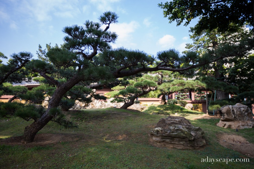 Nan Lian Garden 07