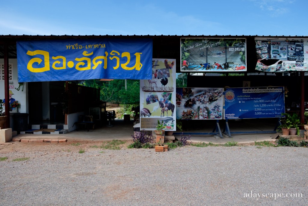 ตลาดน้ำดำเนินสะดวก 01