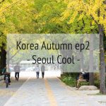 Korea Autumn ตามหาใบไม้เปลี่ยนสีที่ เกาหลี  EP2