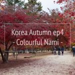 Korea Autumn ตามหาใบไม้เปลี่ยนสีที่ เกาหลี EP4