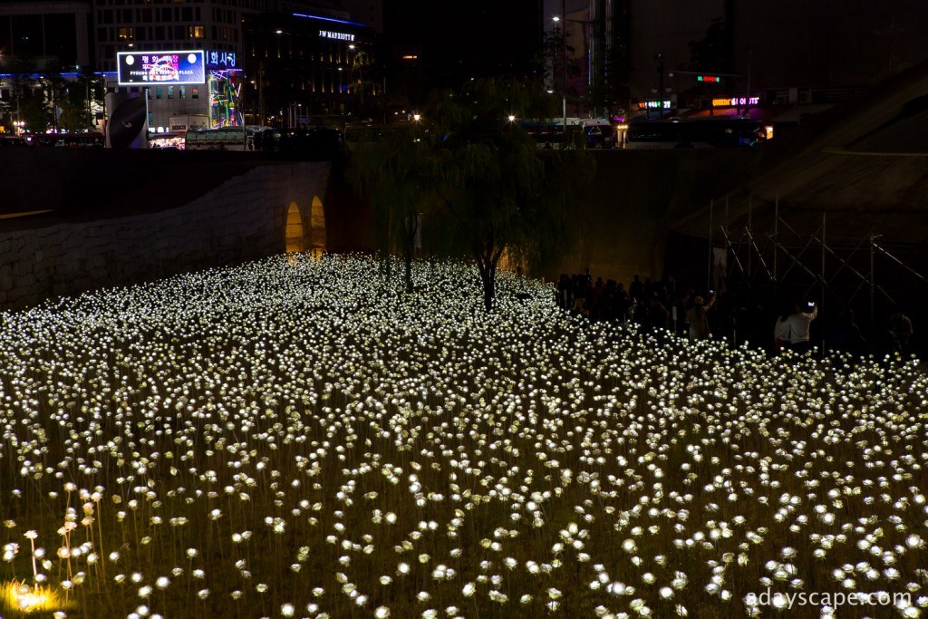 Dongdaemun Design Plaza (DDP) 06