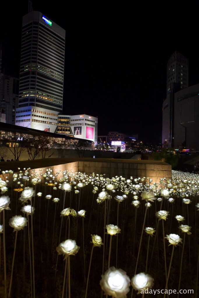 Dongdaemun Design Plaza (DDP) 07