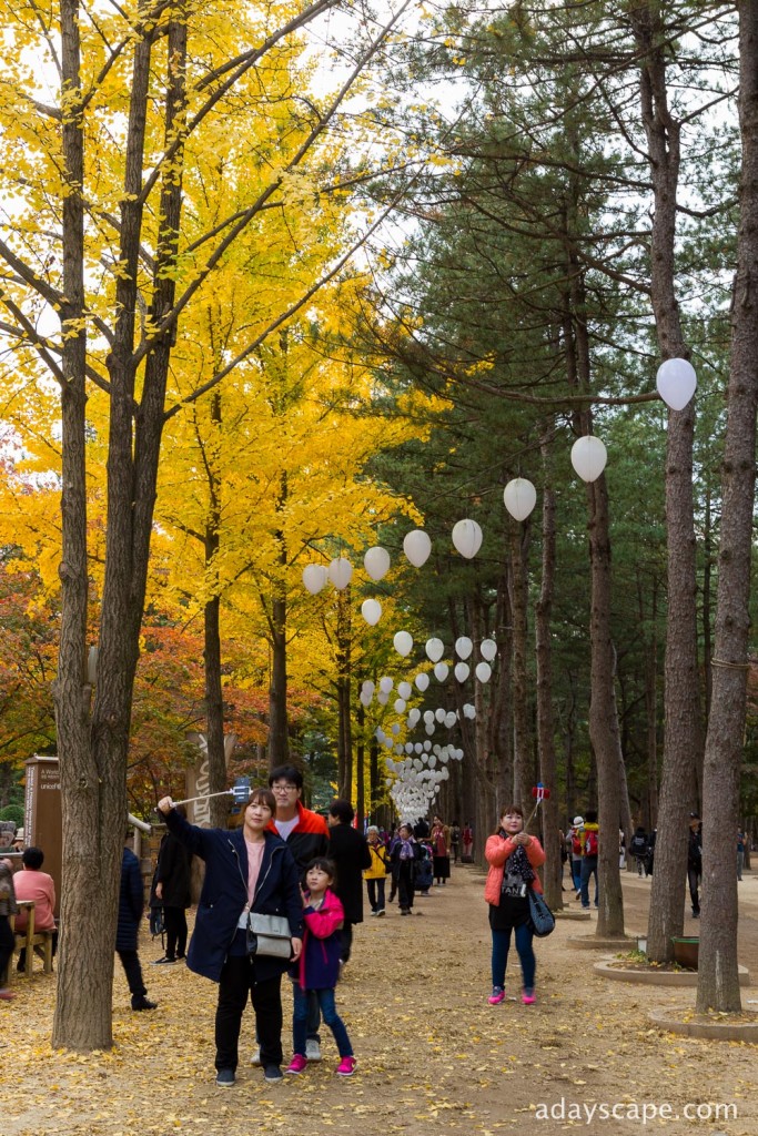 Nami Island 10