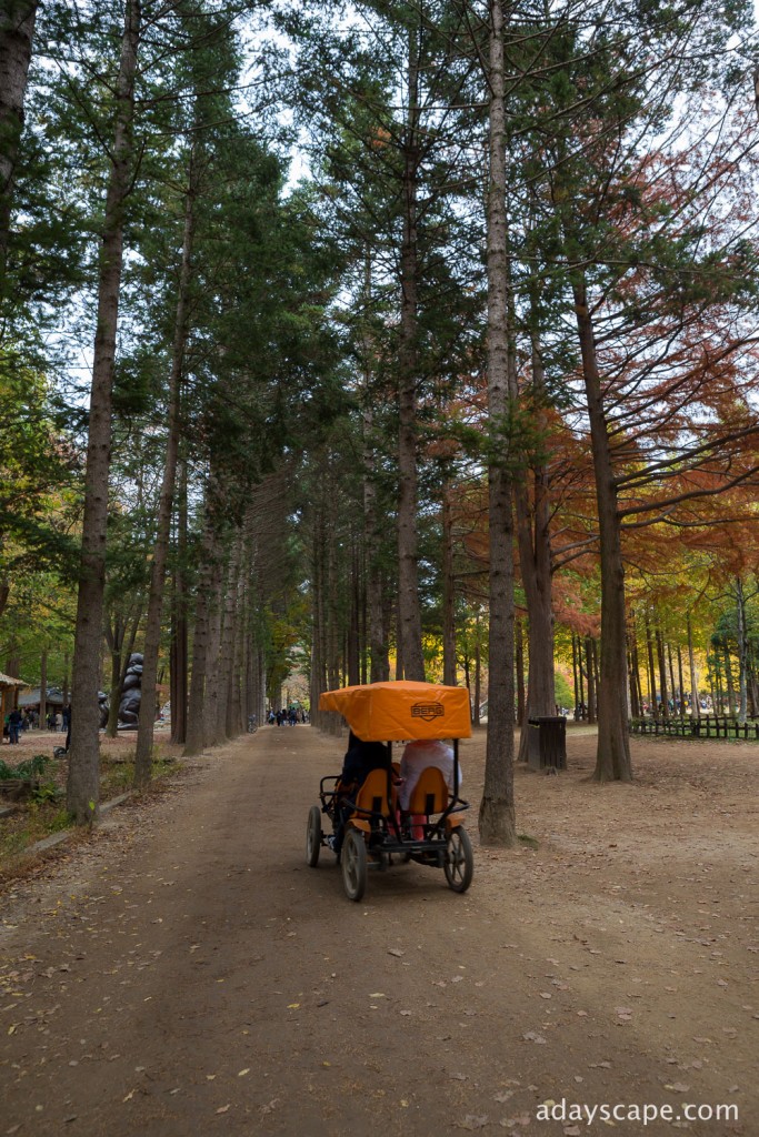 Nami Island 16