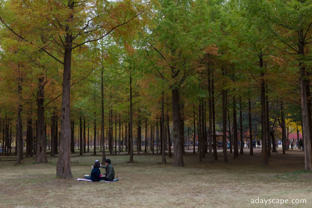 Nami Island 20