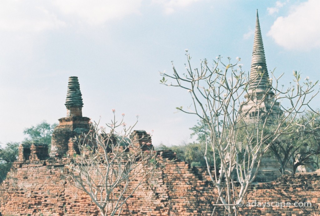 วัดพระศรีสรรเพชญ์