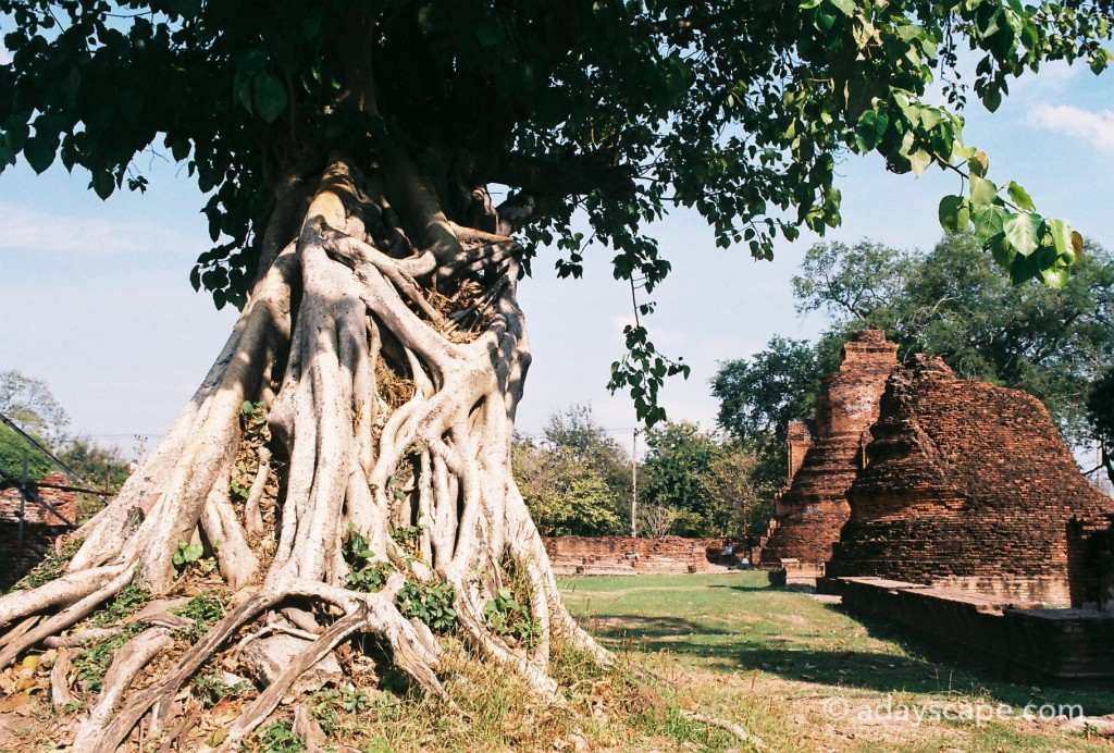 วัดพระศรีสรรเพชญ์