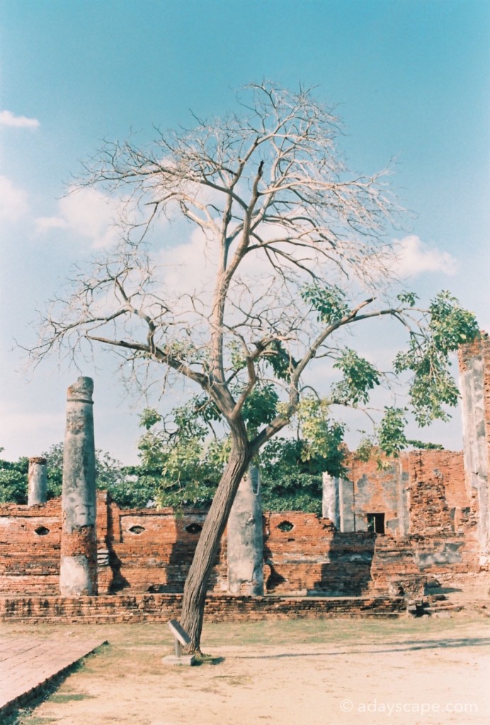 วัดพระศรีสรรเพชญ์