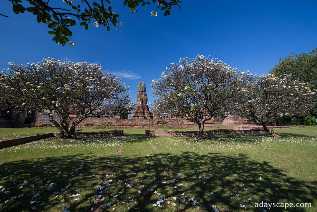 Lopburi 06