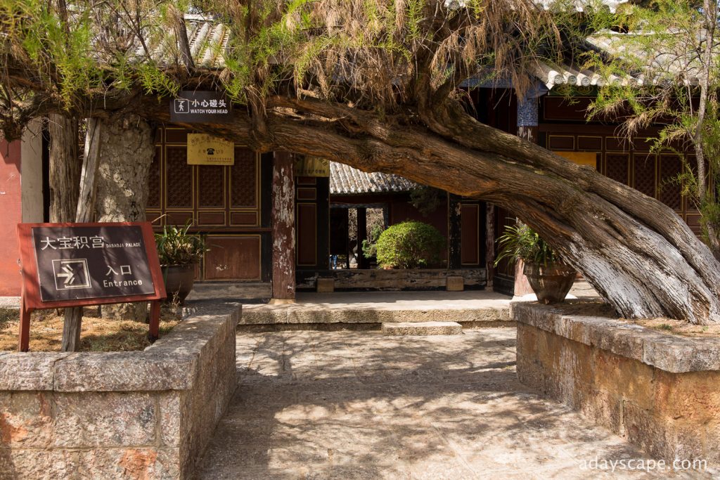 Baisha Village 05