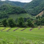 เที่ยวเชียงราย – พม่า – ลาว 3 วัน 3 ประเทศ