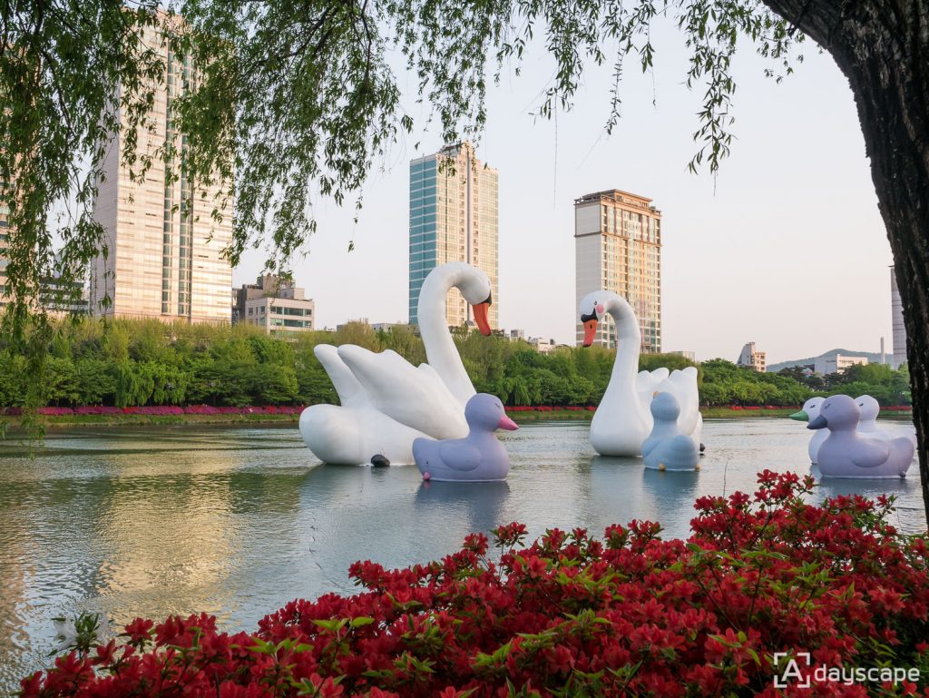 Sweet Swans Project 1