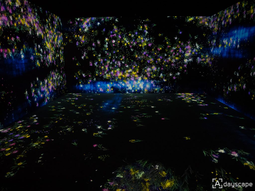 เที่ยวเกาหลี TeamLab World 1