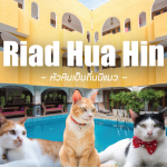 แนะนำที่พักหัวหิน Riad Hua Hin (ริยาจ หัวหิน)