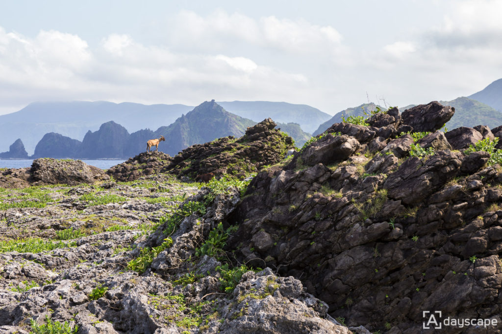 Lunyu Island 11