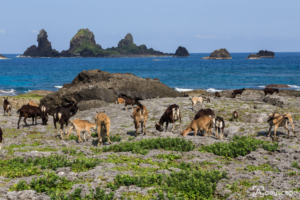 Lunyu Island 8