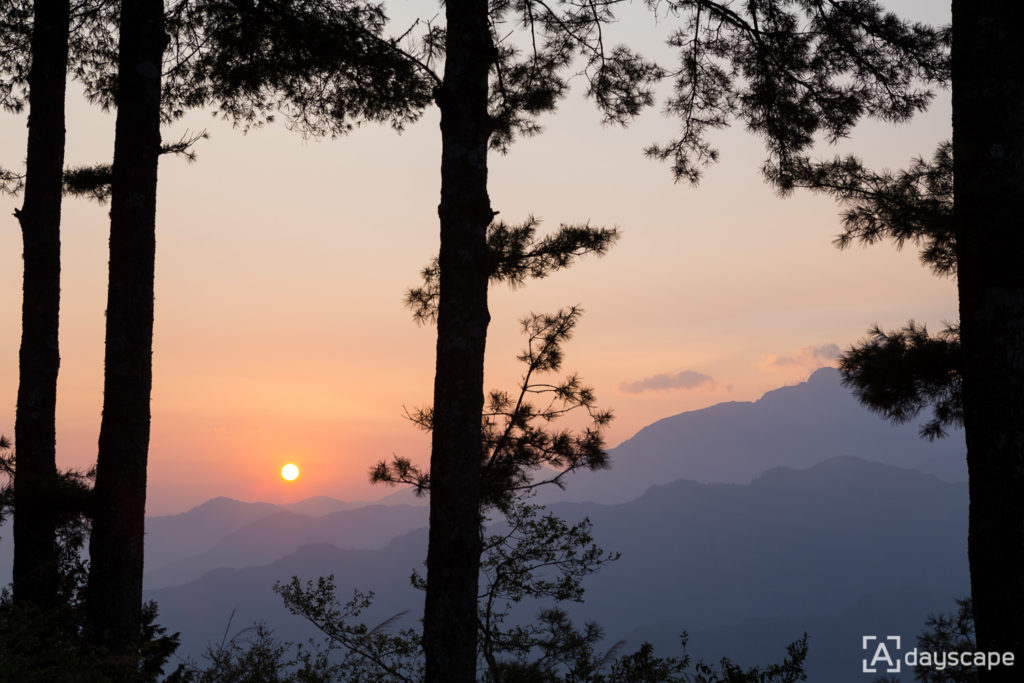 Alishan Sunrise 3